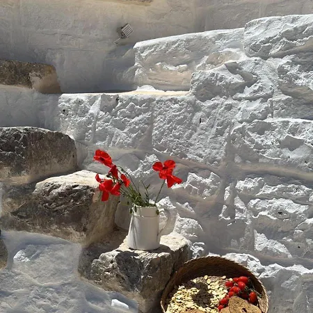 Bed & Breakfast Trulli E Frasche