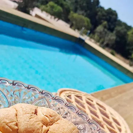 Bed and Breakfast Trulli E Frasche